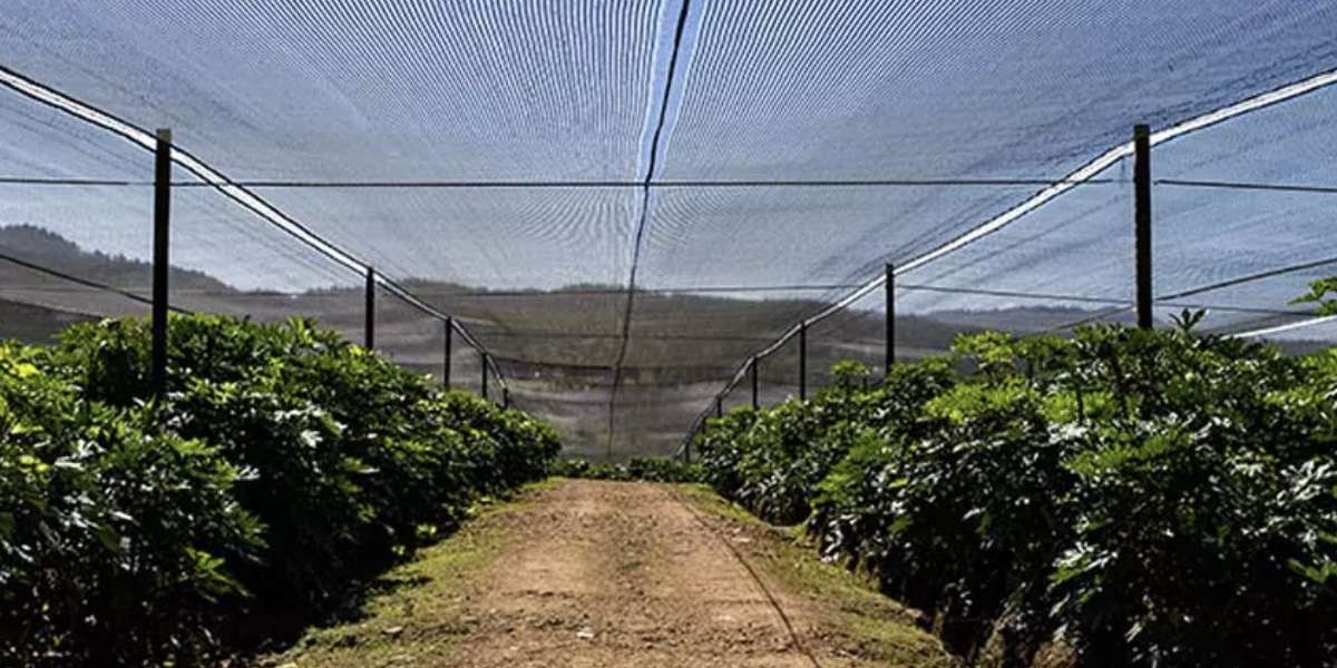 Polipropileno no tejido utilizado para protección de cultivos en aplicaciones agrícolas