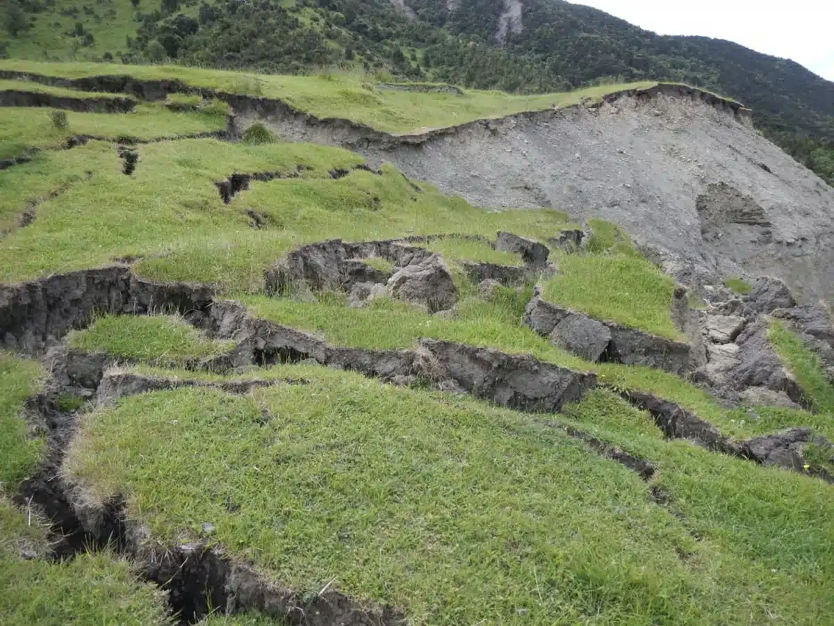 Exploración del papel de las georredes en la mejora de la durabilidad de las carreteras