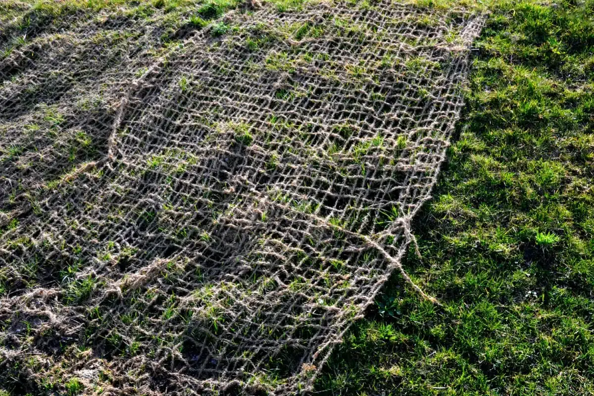 Cómo colocar la tela de jardinería para controlar al máximo las malas hierbas