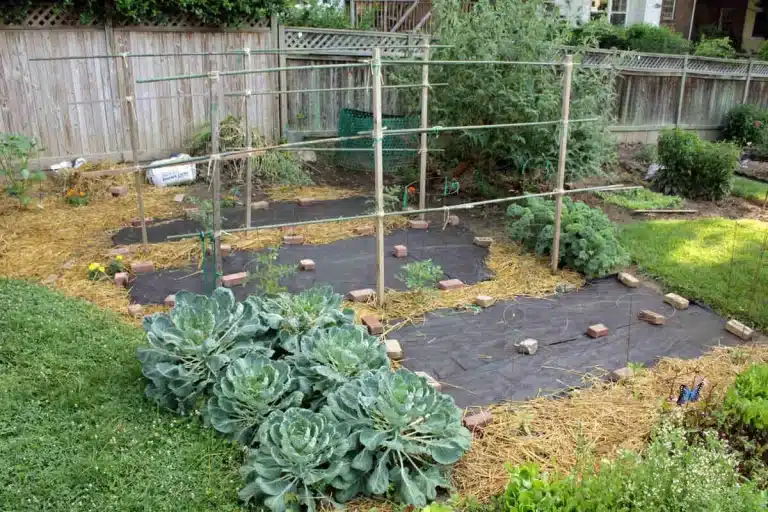 Ventajas de la tela de jardinería para el control de las malas hierbas y la estabilización del suelo