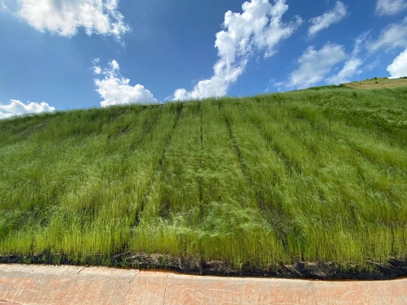 Geoceldas para jardin en estabilización de caminos y terrenos agrícolas