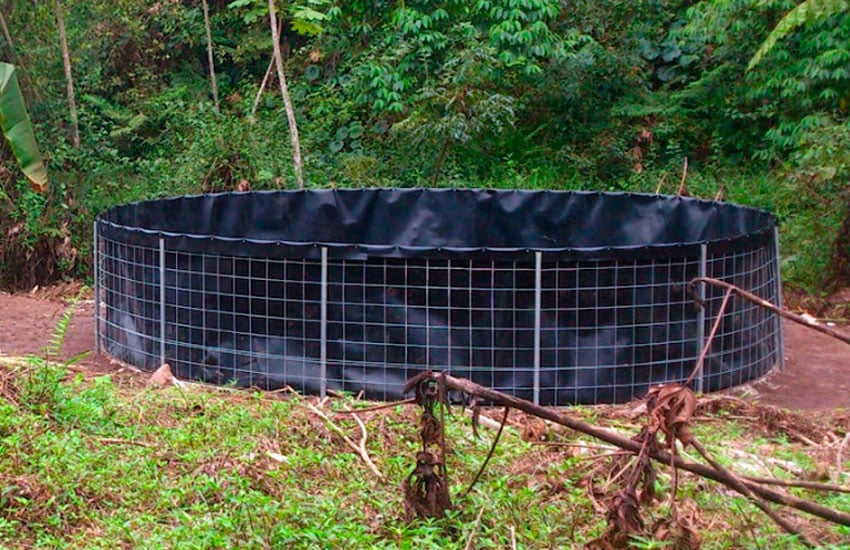 Estanque de geomembrana HDPE para tilapia – solución eficiente en acuicultura