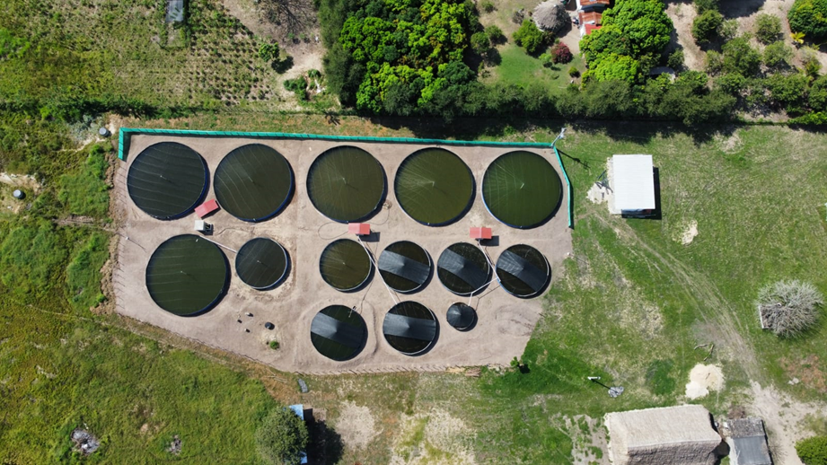 Geotextil antihierbas para proyectos de paisajismo y control de malezas en jardines