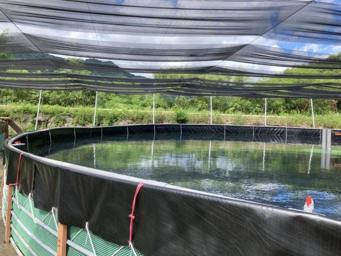 geomembrana en granja acuícola con tanques de geomembrana para camarones