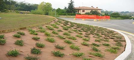 Proyecto de ingeniería paisajística con malla geotextil antihierbas para control de malezas y estabilización del terreno